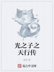 光之子之天行传