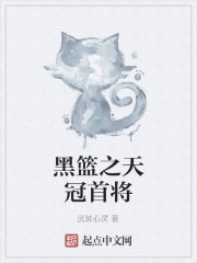 黑篮之天冠首将